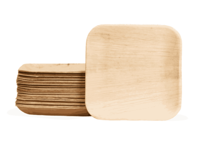 9" * 9" Square Plate